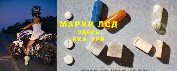 ГАЛЛЮЦИНОГЕННЫЕ ГРИБЫ Алзамай