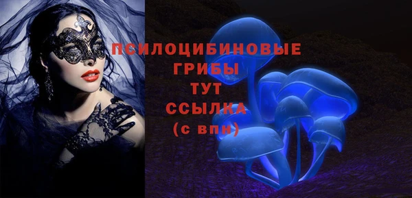 ПСИЛОЦИБИНОВЫЕ ГРИБЫ Нягань
